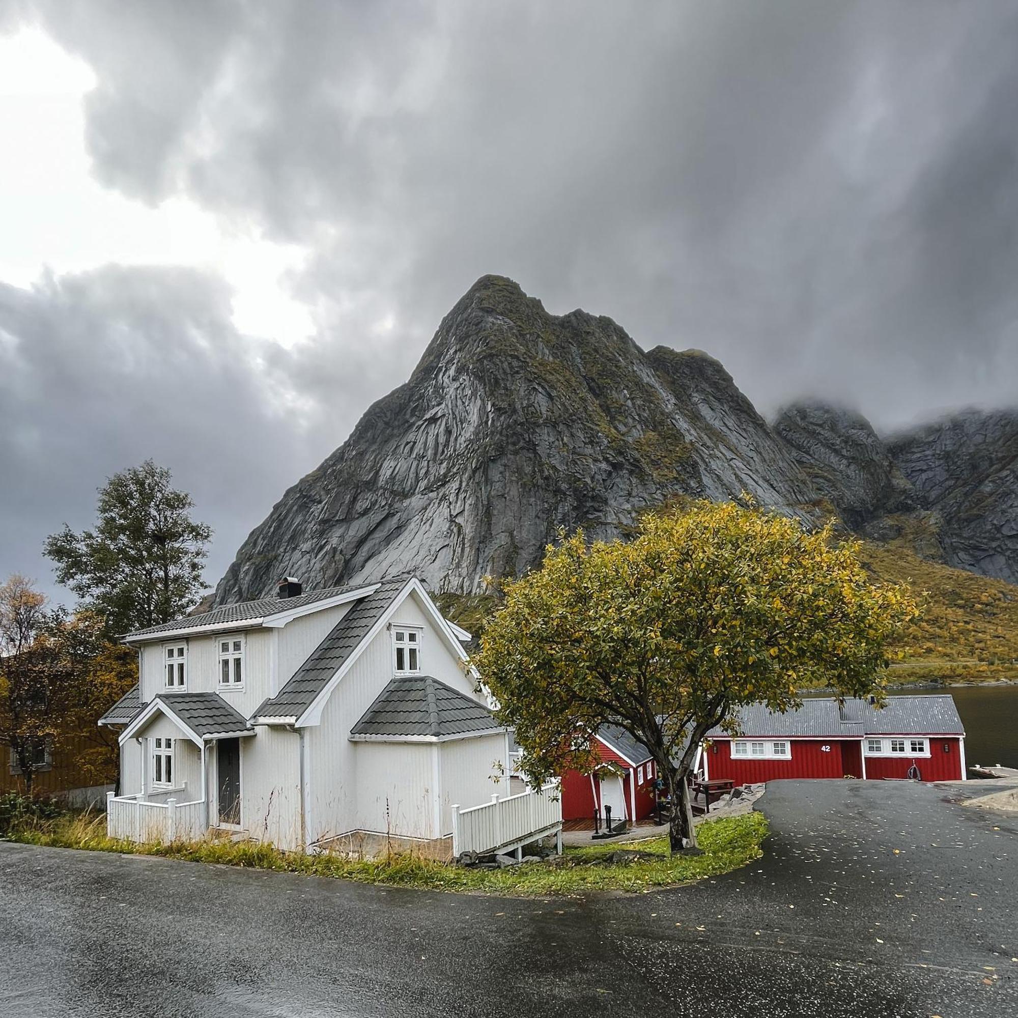Husly Reine - Your Home With Reinebringen View المظهر الخارجي الصورة